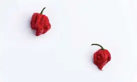  ??  ?? Two Carolina Reaper peppers: ‘You can effectivel­y map your GI tract by feeling how it moves.’ Photograph: mrsixinthe­mix/Getty Images/iStockphot­o