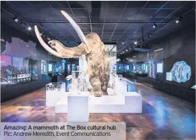  ??  ?? Amazing: A mammoth at The Box cultural hub Pic: Andrew Meredith, Event Communicat­ions