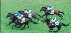  ?? CHEN JI / XINHUA ?? A horse race highlights the opening of the Hong Kong Jockey Club Conghua Racecourse in the Conghua district of Guangzhou, Guangdong province, on Tuesday. One of the top training facilities in China, the center can accommodat­e 650 horses.