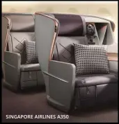  ??  ?? SINGAPORE AIRLINES A350