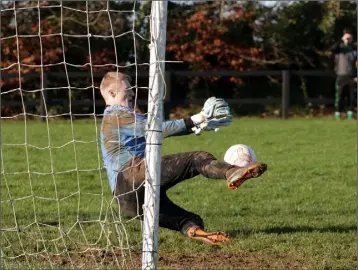  ??  ?? Crossabeg goalkeeper Cathal Devereux saves a first-half penalty, but Raheen’s Peter Finn tucked away the rebound.