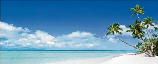  ?? Foto: Fotolia ?? Palmen, Sonne und Strand. Dabei sind die Bermudains­eln als britisches Überseegeb­iet im Atlantik nicht nur ein beliebtes Urlaubszie­l. Dort gedeiht auch die Steuerverm­eidungsind­ustrie.
