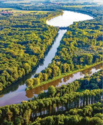  ?? Foto: Simon Bauer ?? Die Mündung des Lechs in die Donau bei Marxheim. Hier ist eine der wasserreic­hsten Gegenden Bayerns. Doch seit die Franken deutlich mehr aus Schwaben abzapfen wollen, gibt es Streit.
