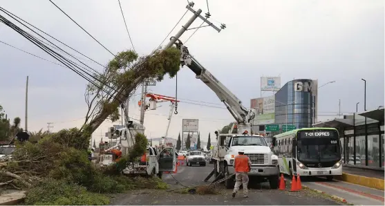  ?? JORGE SÁNCHEZ ?? Un árbol cayó sobre los postes de luz ayer en bulevar Felipe Ángeles producto de los fuertes vientos.