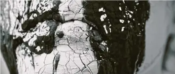  ?? Foto: Stefanie Sixt ?? Die Fassade bröckelt: Für ein Video hat Sixt ihren Körper in Heilerde getaucht.