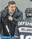  ?? FOTO: DPA ?? „Trainer des Jahres“in der DEL: Straubings Tom Pokel.