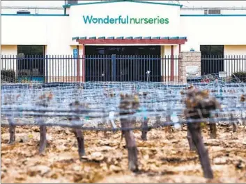  ?? Robert Gauthier Los Angeles Times ?? WONDERFUL NURSERIES says the UFW used $600 in federal aid as bait to trick workers into unionizing.