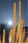  ?? MICHAEL MEISTER/THE REPUBLIC ?? The Sturgeon moon rises over the desert in Phoenix the evening of Aug. 1, 2023.