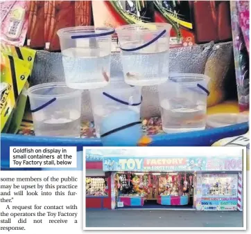  ??  ?? Goldfish on display in small containers at the Toy Factory stall, below