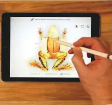  ?? AP ?? A demonstrat­ion of the Froggipedi­a App using the Apple Pencil on the new 9.7-inch iPad is performed at an Apple educationa­l event at Lane Technical College Prep High School on March 27 in Chicago.