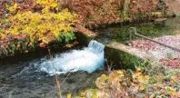  ?? Fotos: Larissa Loges/tmn ?? Beruhigend­es Plätschern im mystischen Wald: Die Alme fließt hier un‰ weit der alten Papierfabr­ik vorbei.