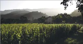  ?? EHLERS ESTATE ?? Ehlers Estate, which lies just north of St. Helena, is offering virtual wine tastings during the pandemic lockdown.