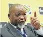  ??  ?? Gwede Mantashe