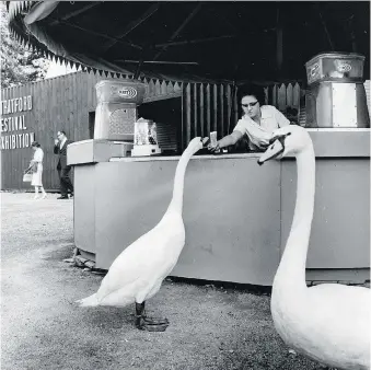  ?? STRATFORD-PERTH ARCHIVES, BEACON HERALD SUBJECT FILES #2012.12 ?? Swans stop by a booth in 1961.