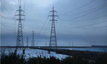  ?? Photograph: Dianne Manson/Getty Images ?? New Zealand’s gross and net emissions rose by 2% in the 12 months to the end of 2019.