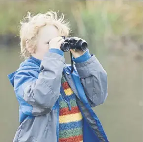  ?? ?? Binoculars can help spot wildlife, main; put a bird feeder in your garden