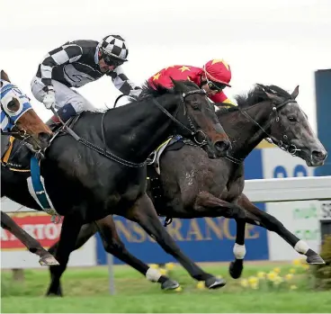  ?? TRISH DUNELL. ?? Kawi (middle) drives hard at Mime to win the Windsor Park Plate with Rasa Lila flashing into third.