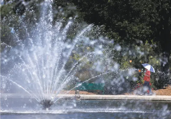  ?? Photos by Paul Chinn / The Chronicle ?? A man totes an umbrella to block the sun’s sweltering rays while walking around the lagoon at Heather Farm Park in Walnut Creek — but a cooldown is coming.
