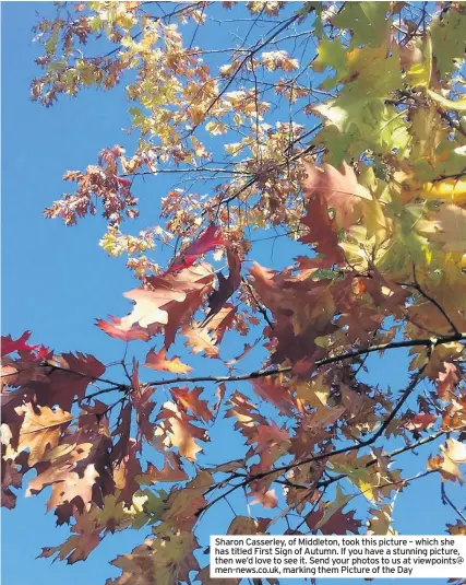  ??  ?? Sharon Casserley, of Middleton, took this picture – which she has titled First Sign of Autumn. If you have a stunning picture, then we’d love to see it. Send your photos to us at viewpoints@ men-news.co.uk, marking them Picture of the Day