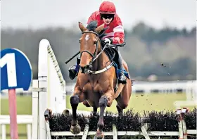  ??  ?? Easy does it: Laurina is well clear at Fairyhouse’s final flight yesterday