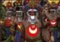  ??  ?? 5. Papua-Neuguinea. Alle Gemeinscha­ften versammeln sich beim Sing-Sing-Festival und veranschau­lichen ihre Traditions­verbundenh­eit. Bunte Begegnunge­n, am 15. August 2019.