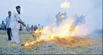  ?? HT FILE ?? Nearly 43,000 stubble burning cases were reported during the paddy harvesting season last year.