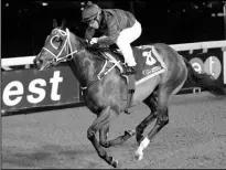  ?? Picture: Nkosi Hlophe ?? Lyle Hewitson rides RIVER AYRE in the fourth at the Vaal tomorrow.