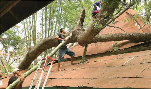  ?? GALIH WICAKSONO/JAWA POS ?? HATI-HATI: Petugas BPCB sedang mengevakua­si batang pohon yang menimpa atap Makam Sunan Prapen kemarin. Proses itu diperkirak­an butuh waktu agak lama.