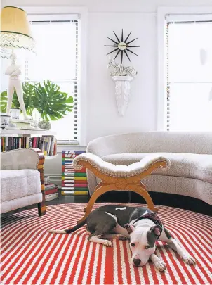  ?? ERICK J. ESPINOZA VIA NEW YORK TIMES ?? Erick J. Espinoza’s rescue dog, Quinn, relaxes in his New York apartment on a patterned rug that he says is surprising­ly effective at hiding messes.