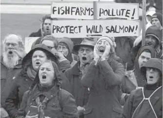  ??  ?? Anti-fish-farm demonstrat­ion at the legislatur­e on Nov. 2. Marine Harvest Canada is asking for an injunction to remove protesters from one of its salmon farms off Port Hardy.