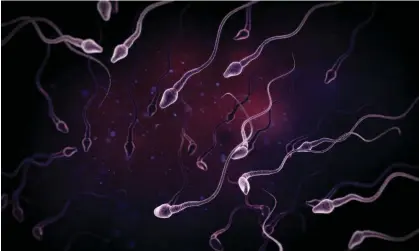 ?? The Science Picture Company/Alamy ?? There had been an alarming decline in sperm counts and concentrat­ion in western countries over decades, the scientists said. Photograph: