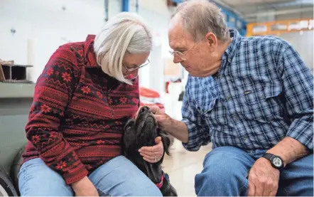  ?? TY WRIGHT/THE ADVOCATE ?? Judy and Walter Preston share an affectiona­te moment with their dog Maggie in the fabricatio­n area of Preston Consulting Inc., a race car engineerin­g shop owned by the Prestons, in Newark on Thursday.