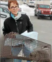  ?? LAUREN HALLIGAN — LHALLIGAN@DIGITALFIR­STMEDIA.COM ?? Former Troy City Council president Lynn Kopka carries a cat inside Troy Veterinary Hospital during Sunday’s Operation Snip clinic.