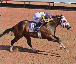  ?? COADY PHOTOGRAPH­Y ?? Jessies First Down, a two-time world champion Quarter Horse, likely will run Sept. 23 in the Albuquerqu­e Fall Championsh­ip.