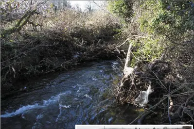  ?? Photos by John Reidy ?? ABOVE: One of the many flood created dams in the Glounsharo­on River upstream of Kilbanivan­e Cemetery.
RIGHT: The most recent flooding of Kilbanivan­e Cemetery occured at the end of last January and Cormac O’Mahony’s photograph shows the extent of the...