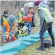  ?? ARCHIVFOTO: SGIER ?? Die Gruppe Rudi Rotbein stellt Krötenzäun­e auf.