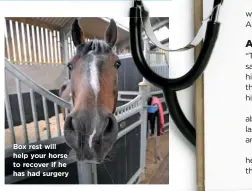  ??  ?? Box rest will help your horse to recover if he has had surgery