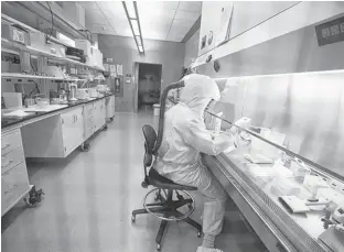  ?? PHOTO BY DAVID STOBBE/VIDO-INTERVAC/ UNIVERSITY OF SASKATCHEW­AN/HANDOUT ?? Scientists work in VIDO-InterVac’s (Vaccine and Infectious Disease Organizati­on-Internatio­nal Vaccine Centre) containmen­t Level 3 laboratory, where the organizati­on is currently researchin­g a vaccine for novel coronaviru­s, at the University of Saskatchew­an in Saskatoon, Sask. In this Oct. 18, 2019 photo.