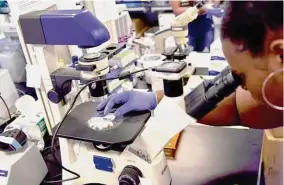  ?? Associated Press file photo ?? An intern at the Hampton University Cancer Research Center examines cancer cells. Cancer death rates have steadily declined among Black people.