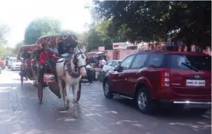  ??  ?? Horse-drawn carriages are common place in Agra