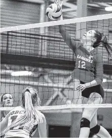  ?? MEMORIAL ATHLETICS PHOTO/ALLISON WRAGG ?? Mount Pearl native Claire Whiffen (12) goes high to send a shot across the net in women's volleyball exhibition play between the Memorial Sea-hawks and Brandon Bobcats in St. John's last month. Smith is one of 10 first- or second-year players on the Sea-hawks, who are taking part in the Geesgees preseason invitation­al tournament, which begins today in Ottawa.