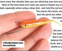  ??  ?? Critically balance your lure and hook.