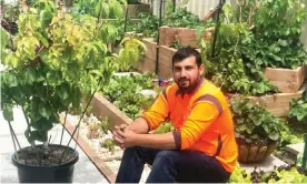  ?? Photograph: Hussam Saraf ?? Shepparton’s Hussam Saraf has claimed a Guinness world record for most types of fruit on a single tree.