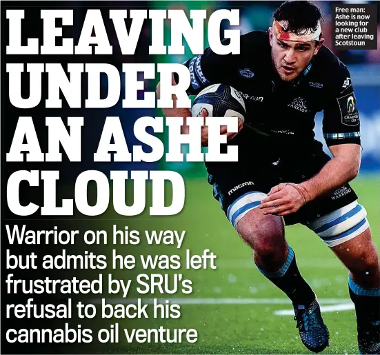  ??  ?? Free man: Ashe is now looking for a new club after leaving Scotstoun