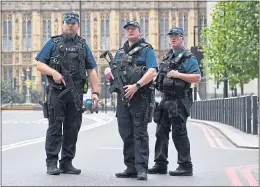  ??  ?? Armed police stand guard after attack outside Parliament last year