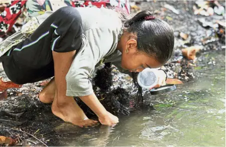  ??  ?? The orang asli kids looking for fishes, leeches, tadpoles, and crabs, in the stream.