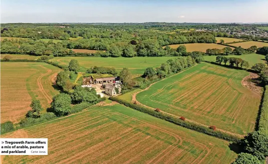  ?? Carter Jonas ?? > Tregoweth Farm offers a mix of arable, pasture and parkland