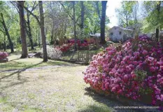  ??  ?? The magic of the spring season is manifested in Tyler during the flower festival.