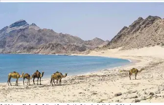  ??  ?? Ostküste von Dhofar: Das Sultanat Oman liegt im Osten der Arabischen Halbinsel