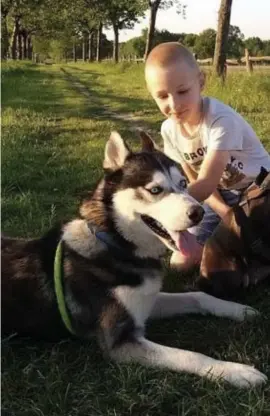  ?? FOTO RAPO ?? Shadow was nog maar twee weken bij de familie Becherer. Hij ontsnapte toen de voordeur openstond en zou meegenomen zijn door iemand met een zwarte terreinwag­en.